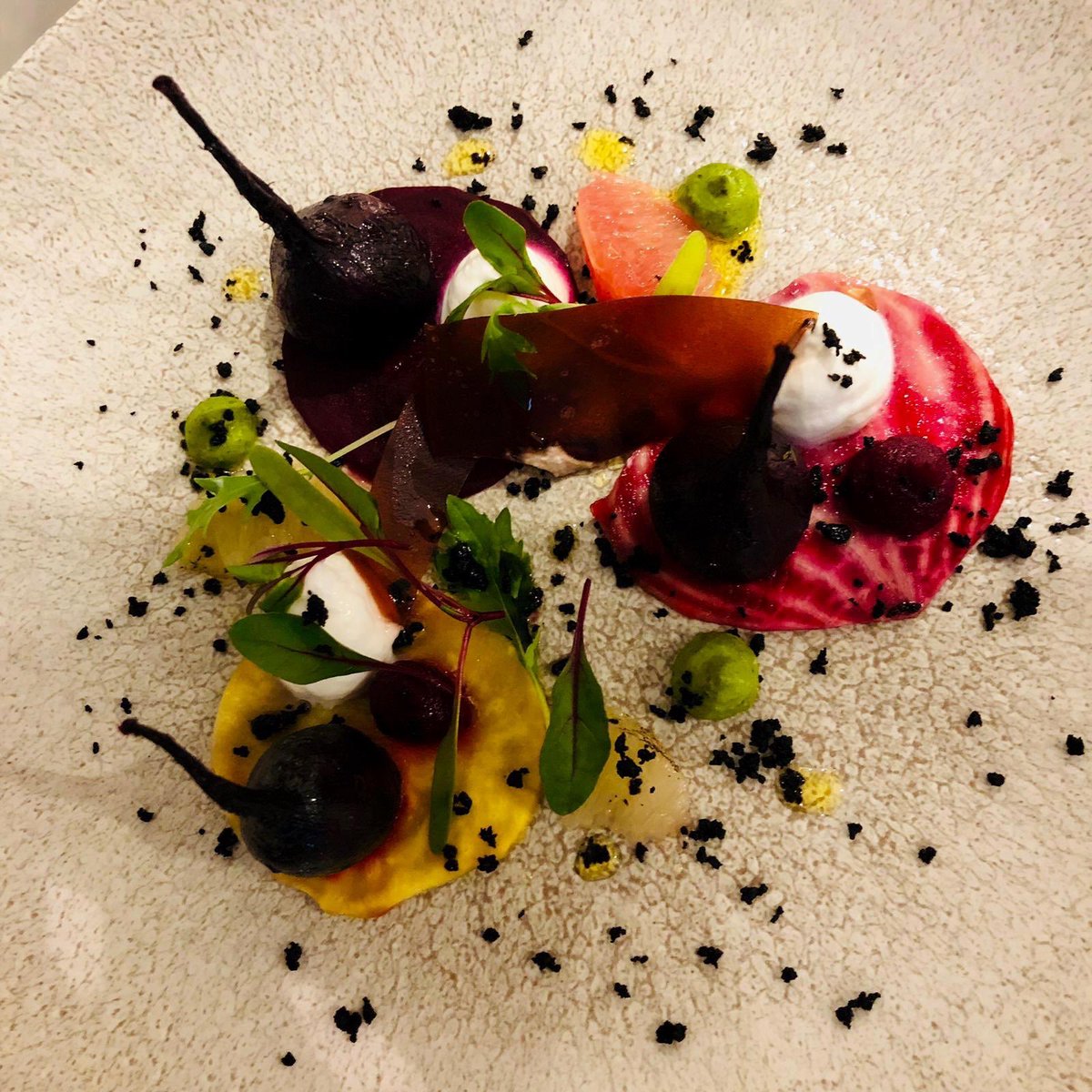 steffan williams tweet media