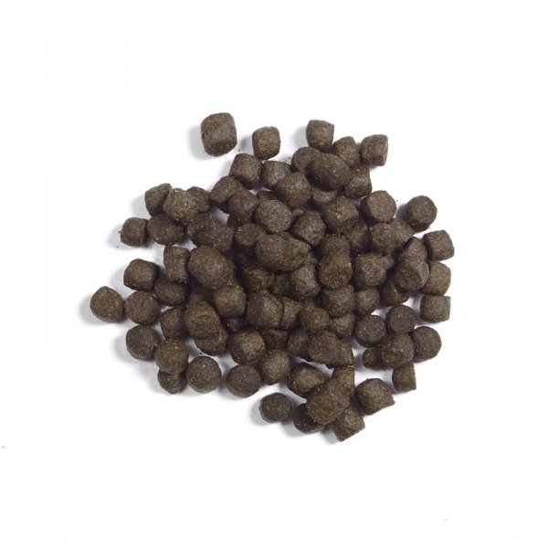 Koimenue's tweet image. ! UNSERE AKTUELLEN #KOIFUTTER #ANGEBOTE !
Alle Sonderangebote in unserem #Koifutter-Onlineshop: goo.gl/DBU5tZ

KOIMENUE® | Koifutter | Smaragd 40/12 EX | 3 &amp;amp; 5mm | verschiedene Verpackungsgrößen -&amp;gt; ab 38,00 €