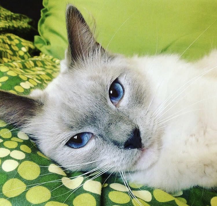 SaturnPasRond_'s tweet image. Aller rien que parce que je kiffais le prendre en photo