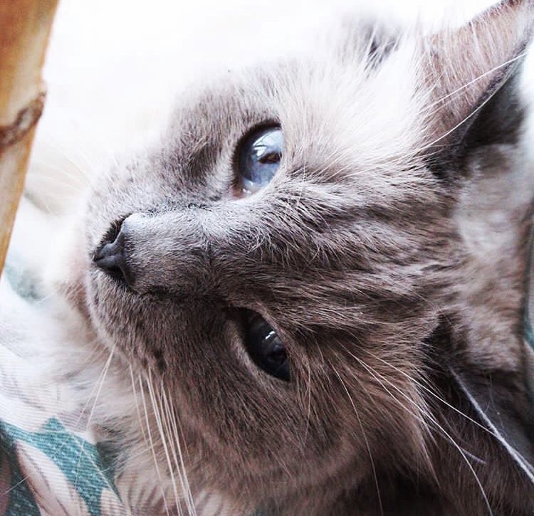 SaturnPasRond_'s tweet image. Aller rien que parce que je kiffais le prendre en photo