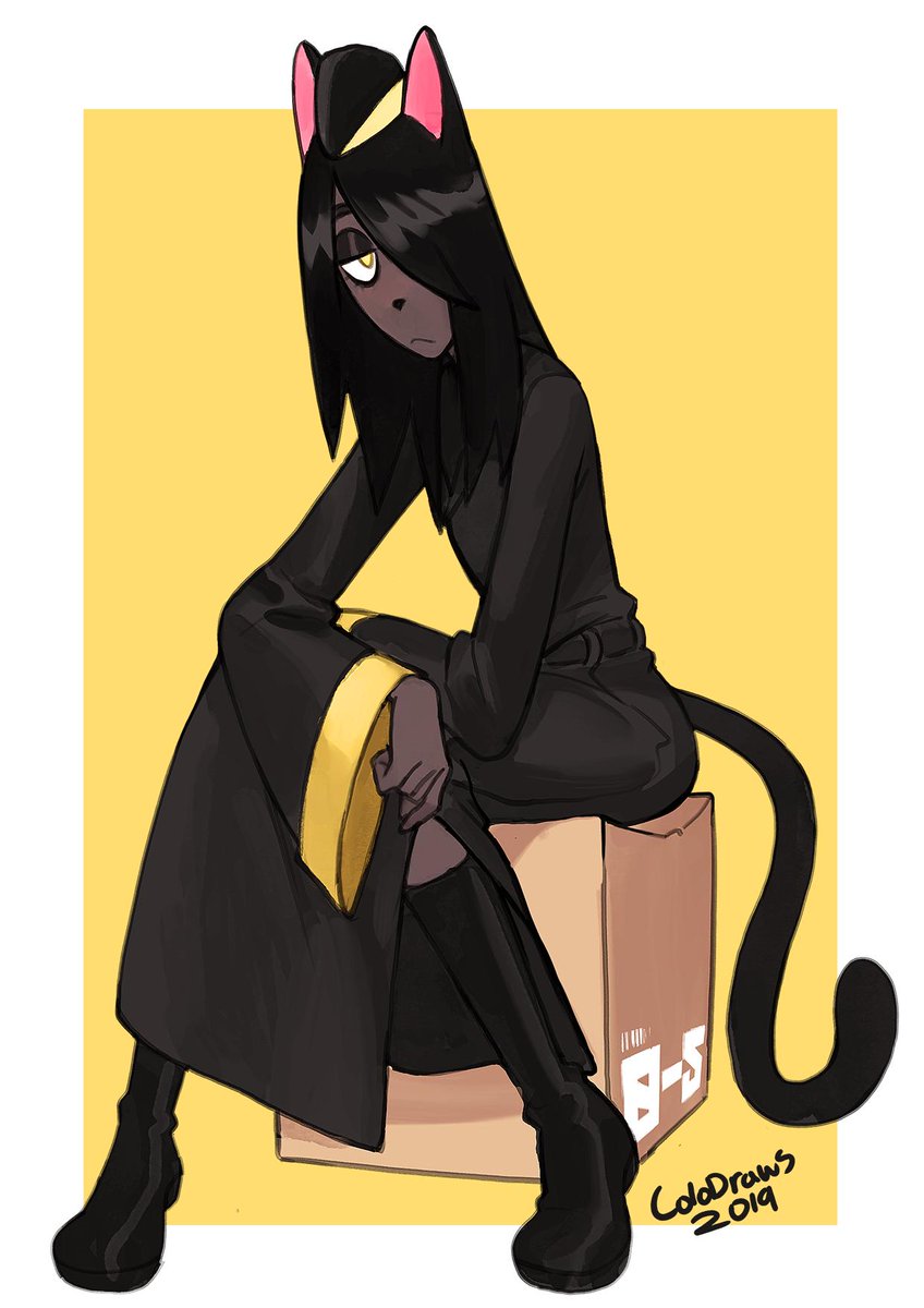 cat box