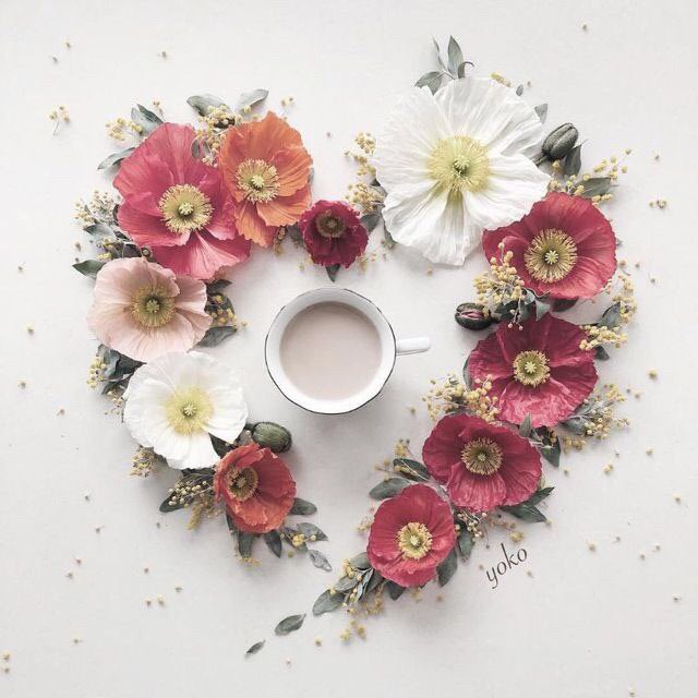 Sayedbasher5's tweet image. My,💟