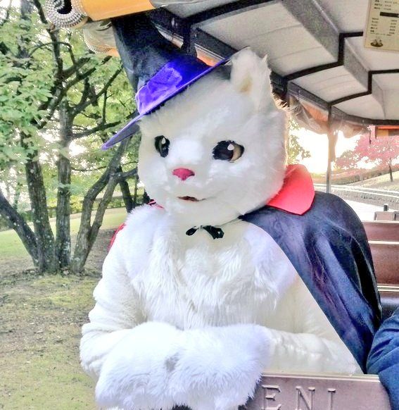 ねりー tweet media