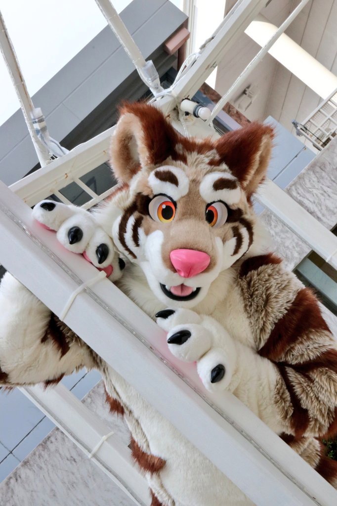 ねりー tweet media