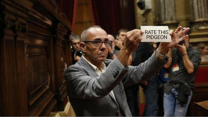 #28A