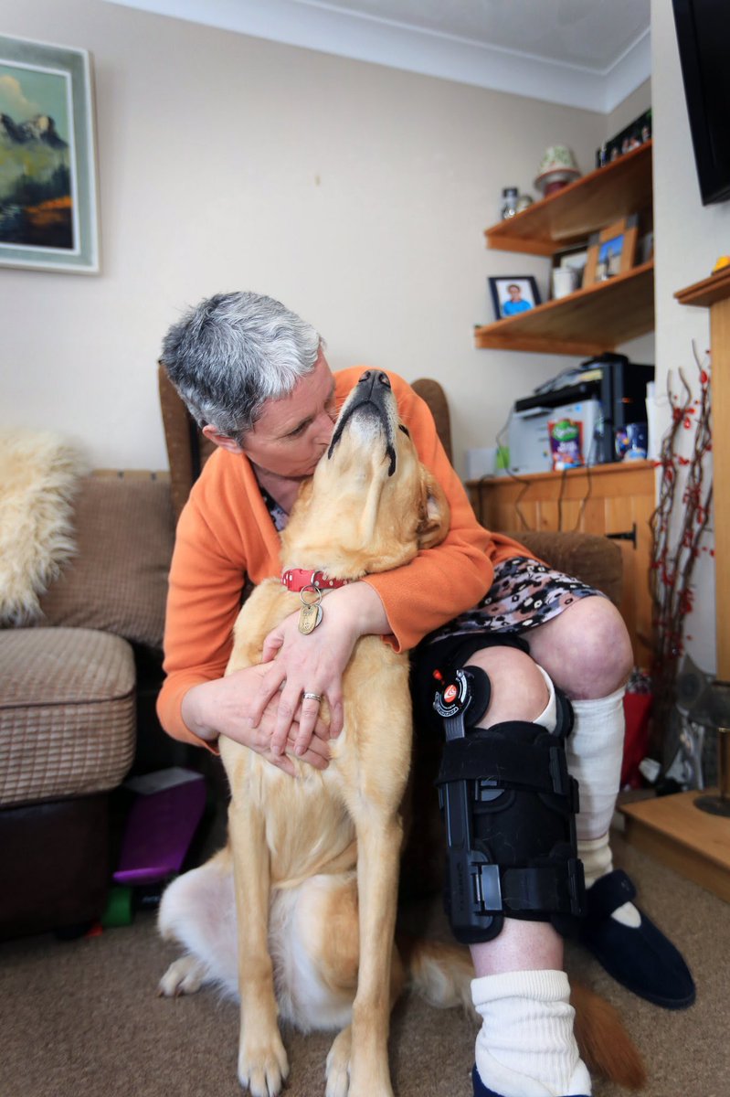 Labrador_Molly's tweet photo. Good luck to everyone running the @LondonMarathon today for @guidedogs @gdcampaigns People like you make dogs like us possible ππ #GetInspired #LondonMarathon19 #LondonMarathon2019 #LondonMarathon #lifechanging #GDFamily #GDsOfTwitter https://t.co/dgI0FZjN87
