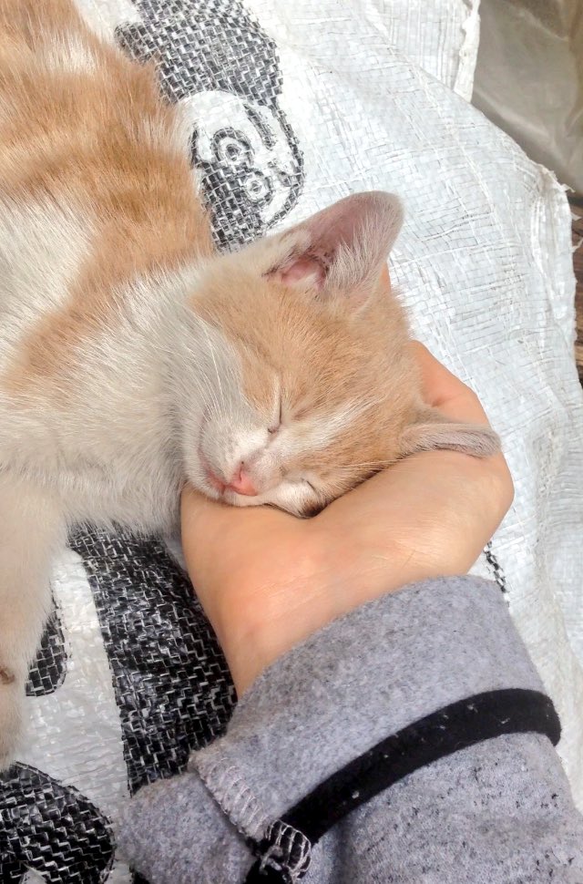 Avucumun içinde bi huzur taşıyorum😌