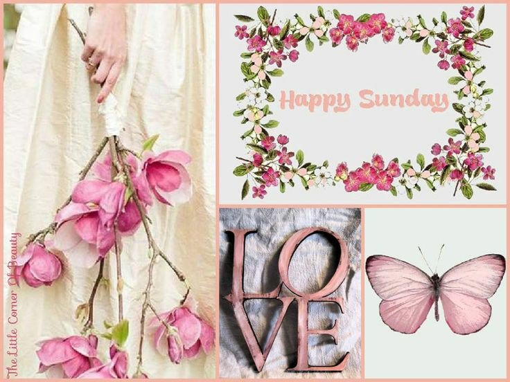 ALEXA 🍃💋🍃 (@alexa17101614) on Twitter photo <a href="/r95731/">💓 s a R a v 💓 🇮🇳मेरा भारत महान🇮🇳 🥰100 K+🥰</a> <a href="/TAASAA1756/">ابو غسان القريشيEng.AboGhassan</a> <a href="/G8Hdr/">🌸moko🌸🙅♀️DM 🐶🐾</a> <a href="/MamCivi/">Mam Roj Çivi</a> <a href="/SnowWhiteRina/">Snow White Rina</a> <a href="/SjiKKQ5GxHivdqC/">حميد الحساني</a> <a href="/NoemRosales3/">Noemí Rosales</a> <a href="/reeves5150/">Debra Reeves</a> <a href="/victort00526684/">victor torres</a> <a href="/zerok_z/">Asi ♡</a> <a href="/America23617306/">America Holguin🇺🇸🌺🦋🌺</a> <a href="/dykrh271/">235</a> @marawan194yaho2 <a href="/marinavibu609g/">🌻MARINA🌻</a> <a href="/ketn7912/">behna31152</a> <a href="/MARIALUISAMAR5/">MARIA LUISA</a> @CristinPereyra <a href="/OnlineEZYincome/">Online Shopping 🛒</a> <a href="/shahnaqi84/">🎀SHAN 🎀</a> <a href="/Rusty_Lovely/">🍎𝑹𝒖𝒔𝒕𝒚_𝑳𝒐𝒗𝒆𝒍𝒚🕊️ラスティ</a> @TamilRaja27 <a href="/ZEYNAZERDA/">ZEYNEB MELİSSA</a> <a href="/x2w4m6r8/">لوردxw4</a> <a href="/DLees28/">Dee</a> <a href="/BedirOzdogan/">Bedir Özdoğan</a> <a href="/PatGrant7777/">✨Star Bright ✨</a> <a href="/walentgrig/">Walentina</a> <a href="/HseyinEmir11/">EMİR</a> <a href="/noornoo77056192/">🍁N🍁N00R🍁The lover</a> <a href="/sameir_qozman/">Sameir qozman</a> <a href="/VeraLciaEu2/">Vera Lúcia Eu2,</a> <a href="/Grisons2018/">Grisons2018</a> <a href="/Silviadomi22G/">♕Lady in Red ❤</a> <a href="/itsikaas/">IKᗩᗩS💖#1ᗪᗪᖇᎥᐯᗴ🔥#TeamDollNature</a> @MarianeOndina0 <a href="/RasnawatiR/">Rasnawati R 🇮🇩</a> <a href="/BrownieJohnston/">brownie johnston</a> <a href="/SamosumSihammm/">şïɧąɱɱɱ@</a> <a href="/kamilyadunya/">Kamilyadunya</a> <a href="/k53a4UNgbh7R6VQ/">Abed Al hoosan Almorshdy</a> @FaizulH26299723 <a href="/mohsinmalvi19/">Mohsin Alvi</a> <a href="/jawan07/">jawan khan</a> <a href="/hamoo5000/">hamo</a> <a href="/elisabeth_petit/">Elisabeth Petit</a> @JAGDISHRAI053 <a href="/khanhakim_k/">Abdul Hakim Khan</a> <a href="/debratankersle1/">debra tankersley</a> <a href="/LaylaNanya/">Nanya Layla</a> <a href="/andinaurbana/">ADY</a> 🌹🌹🌹🌹💖🌹🌹🌹🌹 <a href="/r95731/">💓 s a R a v 💓 🇮🇳मेरा भारत महान🇮🇳 🥰100 K+🥰</a> <a href="/TAASAA1756/">ابو غسان القريشيEng.AboGhassan</a> <a href="/G8Hdr/">🌸moko🌸🙅♀️DM 🐶🐾</a> <a href="/MamCivi/">Mam Roj Çivi</a> <a href="/SnowWhiteRina/">Snow White Rina</a> <a href="/SjiKKQ5GxHivdqC/">حميد الحساني</a> <a href="/NoemRosales3/">Noemí Rosales</a> <a href="/reeves5150/">Debra Reeves</a> <a href="/victort00526684/">victor torres</a> <a href="/zerok_z/">Asi ♡</a> <a href="/America23617306/">America Holguin🇺🇸🌺🦋🌺</a> <a href="/dykrh271/">235</a> @marawan194yaho2 <a href="/marinavibu609g/">🌻MARINA🌻</a> <a href="/ketn7912/">behna31152</a> <a href="/MARIALUISAMAR5/">MARIA LUISA</a> @CristinPereyra <a href="/OnlineEZYincome/">Online Shopping 🛒</a> <a href="/shahnaqi84/">🎀SHAN 🎀</a> <a href="/Rusty_Lovely/">🍎𝑹𝒖𝒔𝒕𝒚_𝑳𝒐𝒗𝒆𝒍𝒚🕊️ラスティ</a> @TamilRaja27 <a href="/ZEYNAZERDA/">ZEYNEB MELİSSA</a> <a href="/x2w4m6r8/">لوردxw4</a> <a href="/DLees28/">Dee</a> <a href="/BedirOzdogan/">Bedir Özdoğan</a> <a href="/PatGrant7777/">✨Star Bright ✨</a> <a href="/walentgrig/">Walentina</a> <a href="/HseyinEmir11/">EMİR</a> <a href="/noornoo77056192/">🍁N🍁N00R🍁The lover</a> <a href="/sameir_qozman/">Sameir qozman</a> <a href="/VeraLciaEu2/">Vera Lúcia Eu2,</a> <a href="/Grisons2018/">Grisons2018</a> <a href="/Silviadomi22G/">♕Lady in Red ❤</a> <a href="/itsikaas/">IKᗩᗩS💖#1ᗪᗪᖇᎥᐯᗴ🔥#TeamDollNature</a> @MarianeOndina0 <a href="/RasnawatiR/">Rasnawati R 🇮🇩</a> <a href="/BrownieJohnston/">brownie johnston</a> <a href="/SamosumSihammm/">şïɧąɱɱɱ@</a> <a href="/kamilyadunya/">Kamilyadunya</a> <a href="/k53a4UNgbh7R6VQ/">Abed Al hoosan Almorshdy</a> @FaizulH26299723 <a href="/mohsinmalvi19/">Mohsin Alvi</a> <a href="/jawan07/">jawan khan</a> <a href="/hamoo5000/">hamo</a> <a href="/elisabeth_petit/">Elisabeth Petit</a> @JAGDISHRAI053 <a href="/khanhakim_k/">Abdul Hakim Khan</a> <a href="/debratankersle1/">debra tankersley</a> <a href="/LaylaNanya/">Nanya Layla</a> <a href="/andinaurbana/">ADY</a> 🌹🌹🌹🌹💖🌹🌹🌹🌹