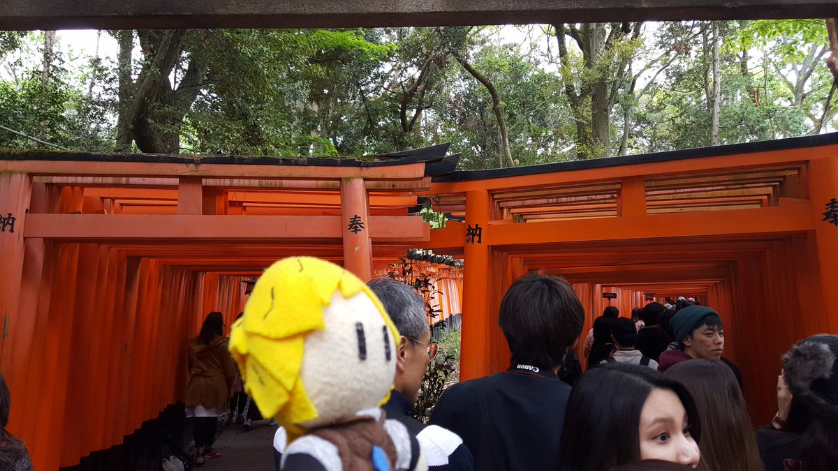  #GoldenAfternoonWeek Fushimi Inari is most famous for its rows of torii gates, each a donation to the wealth deity in hopes of seeing that wealth returned (Demrick is too shy for funny commentary--he'll warm up)