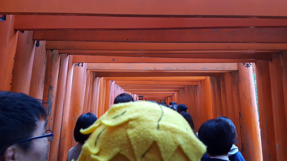  #GoldenAfternoonWeek Fushimi Inari is most famous for its rows of torii gates, each a donation to the wealth deity in hopes of seeing that wealth returned (Demrick is too shy for funny commentary--he'll warm up)