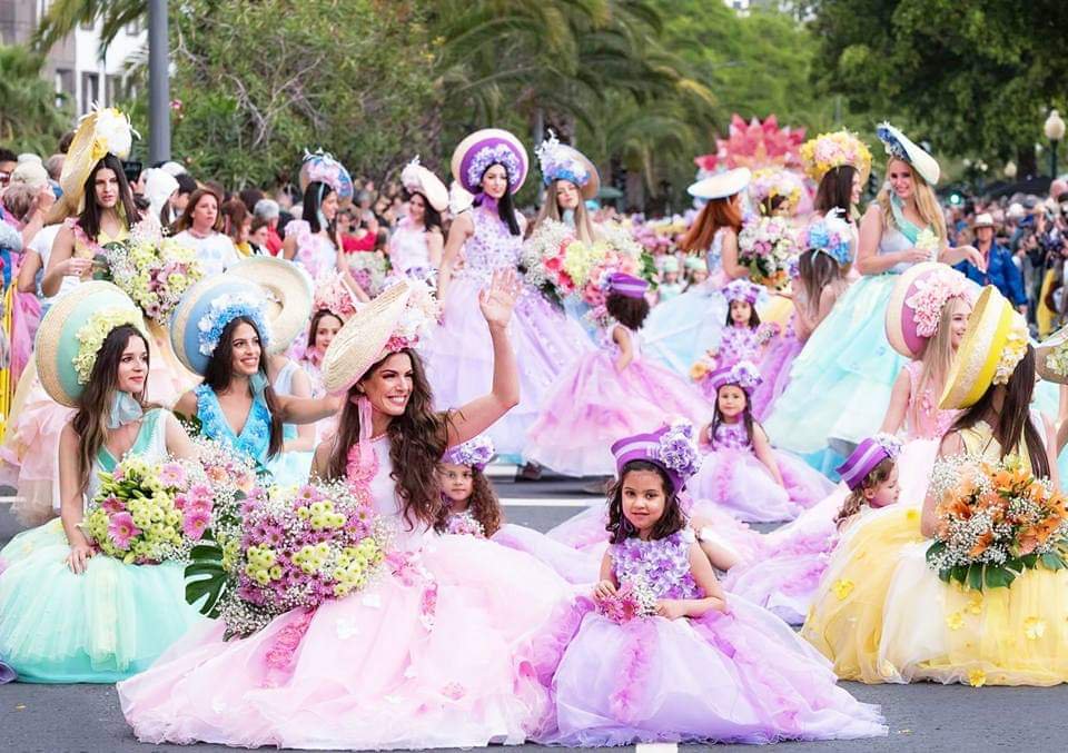 lifeinportugal's tweet photo. #Madeira #Funchal #international #exotic #Flowers #Portugal #May2th-24th #bloem #flower #flowerphotography #cruiselife #tourism #holidays #rejse #reise #tourismus #reisen #ferien #lifestyle #tourisme #vacances #fleurs #blumen #vacation #CruiseNorwegian #europeanbestdestinations https://t.co/VcWdhqa2wo