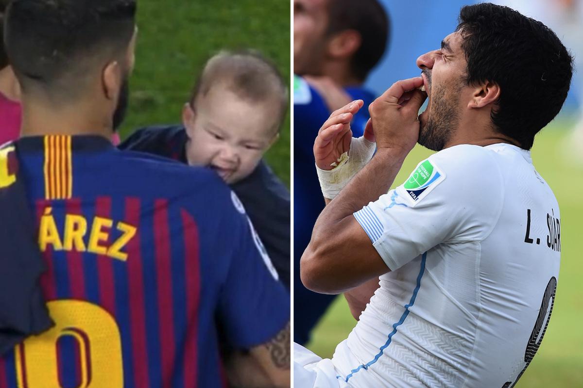 View image on Twitter