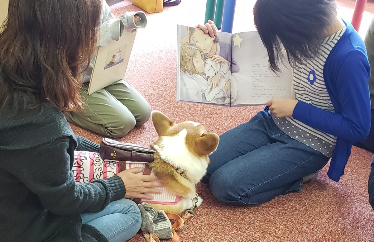 ペッツ フォー ライフ ジャパン 今日は相生市立図書館でドクタードッグたちと犬のふれあい教室と子どもたちが犬に絵本の読み聞かせをするr E A Dプログラムがありました 相手を思いやり 絵本を見えるように工夫してくれ 丁寧に絵本を読み聞かせて ペッツ フォー ライフ ジャパン 今日は相生市立図書館でドクタードッグたちと犬のふれあい教室と子どもたちが犬に絵本の読み聞かせをするr E A Dプログラムがありました 相手を思いやり 絵本を見えるように工夫してくれ 丁寧に絵本を読み聞かせて