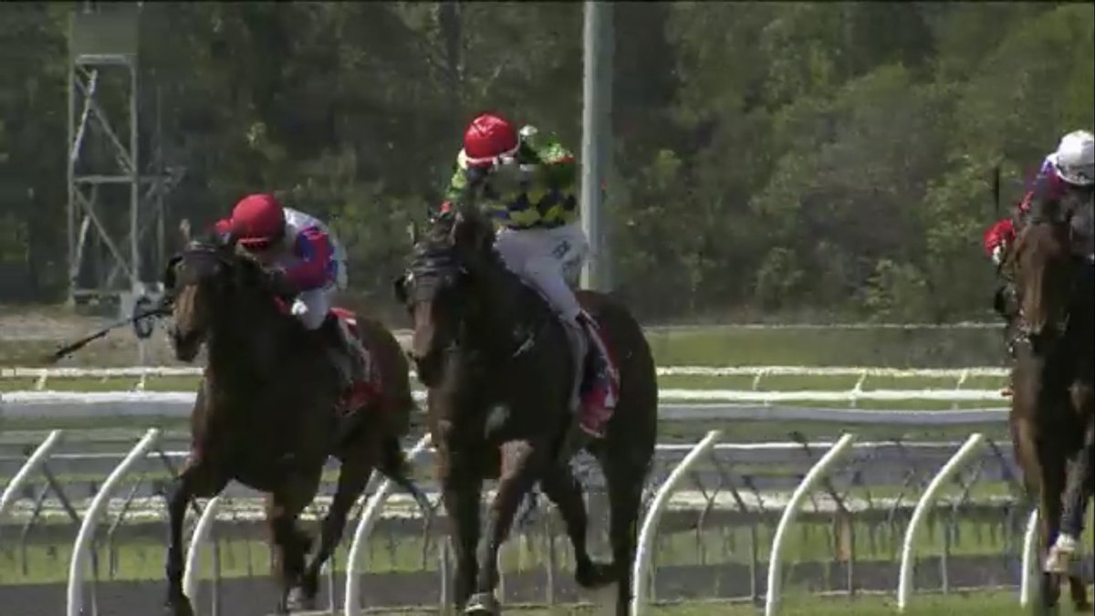 Terrific day for the stables following in from our stakeswinner yesterday we won the first three races at Sunny Coast today with very  promising young horses Masstoo, Embattled and Eric The Eel