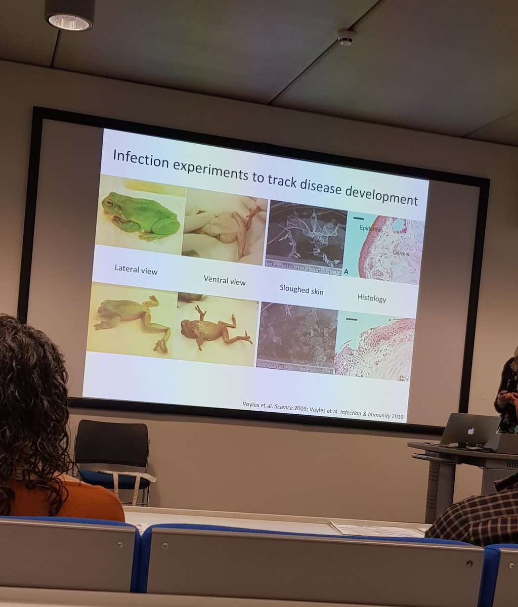 TashaLSavage's tweet photo. Fantastic talk from @jamie_voyles  at @AmphibianCon on disease in Panama 🦠🦠 Also some great outreach getting women involved in science! https://t.co/GlyxMk55zr