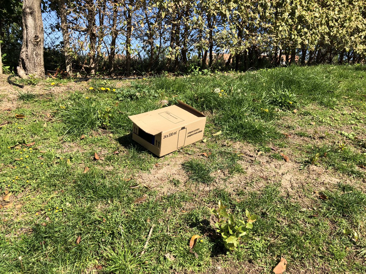 YayoOsborne's tweet photo. @cabify_espana todo un detalle que alguno de vuestros conductores use los parques y zonas ajardinadas del barrio para tirar la basura. El #taxi y #Taxistas de Madrid os lo agradecen. Seguid así!! https://t.co/8WKGRw26EW