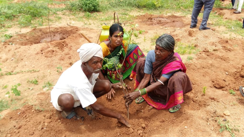cgrindiaimpact's tweet photo. Plantation Program at Shamshabad
For more info: https://t.co/Ju8DDhd3xk
#CouncilforGreenRevolution #SustainableDevelopmentEnvironment #Environment #EnvironmentalProtection #Plnatation #Trees #PlantationofTrees #SustainableDevelopmentinIndia #EnvironmentalSustainability https://t.co/wz74iSUnXR