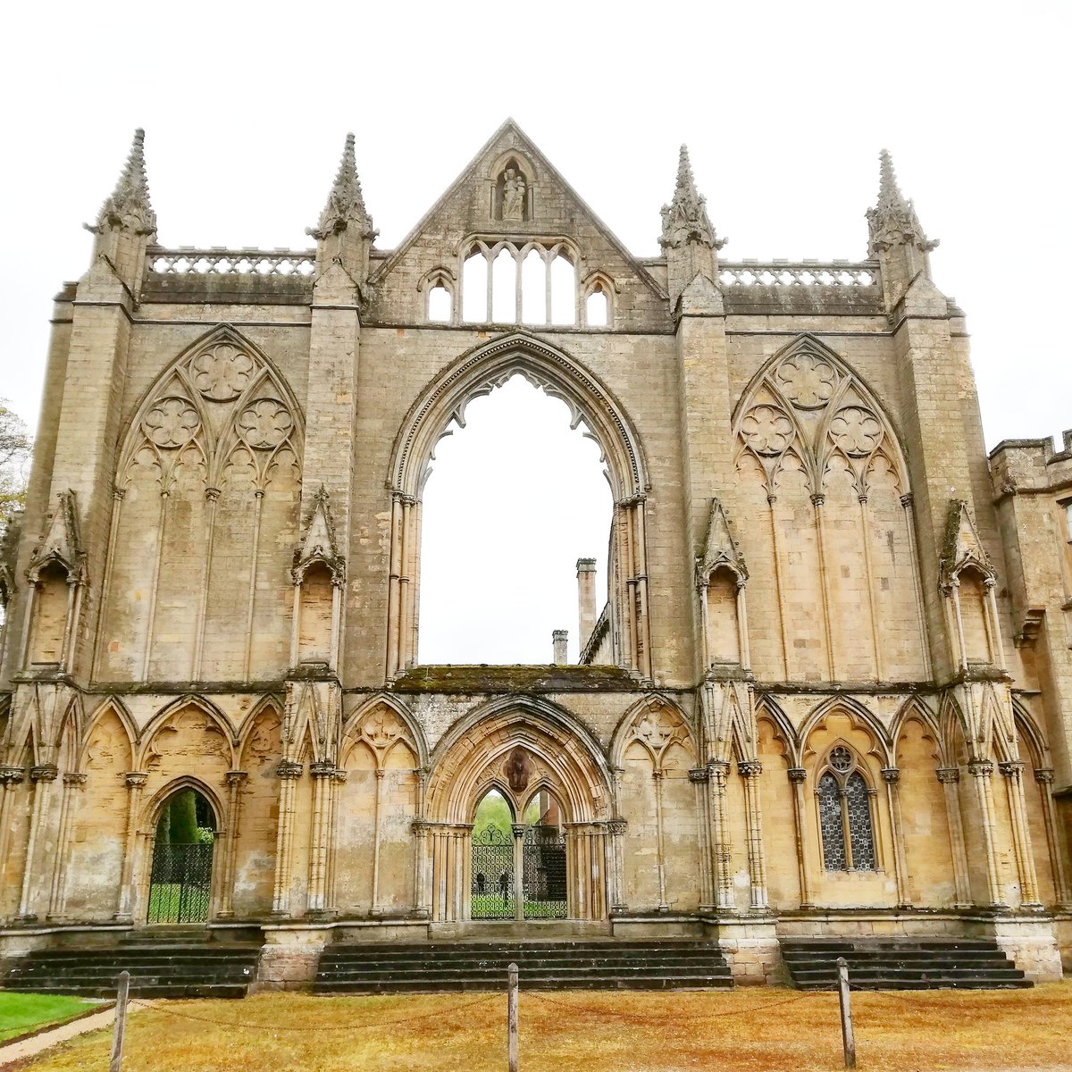 Molly Kent tweet media