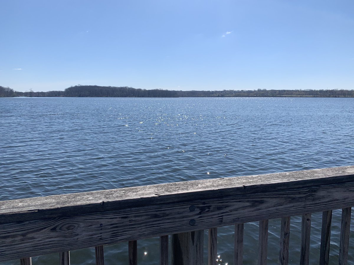 ProbablyRunEm's tweet photo. Took it slower today and it felt great. Definitely a good run day. #RunChat #Run #MichiganRunners https://t.co/bsHqKs3bf5