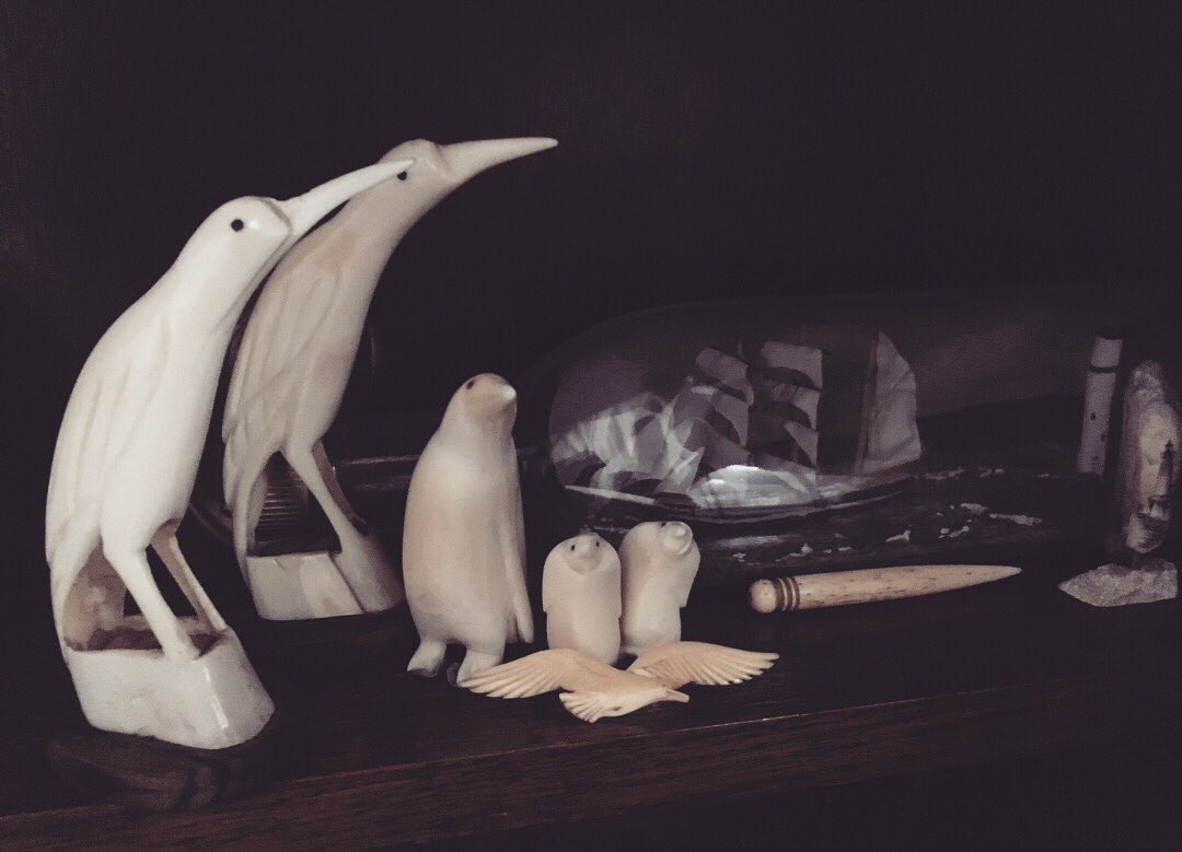 asgerfioport's tweet photo. Cip olwg ar fy ngasgliad asgerfio breifat - Quick look ar my private scrimshaw collection. https://t.co/X6cavuyzoc