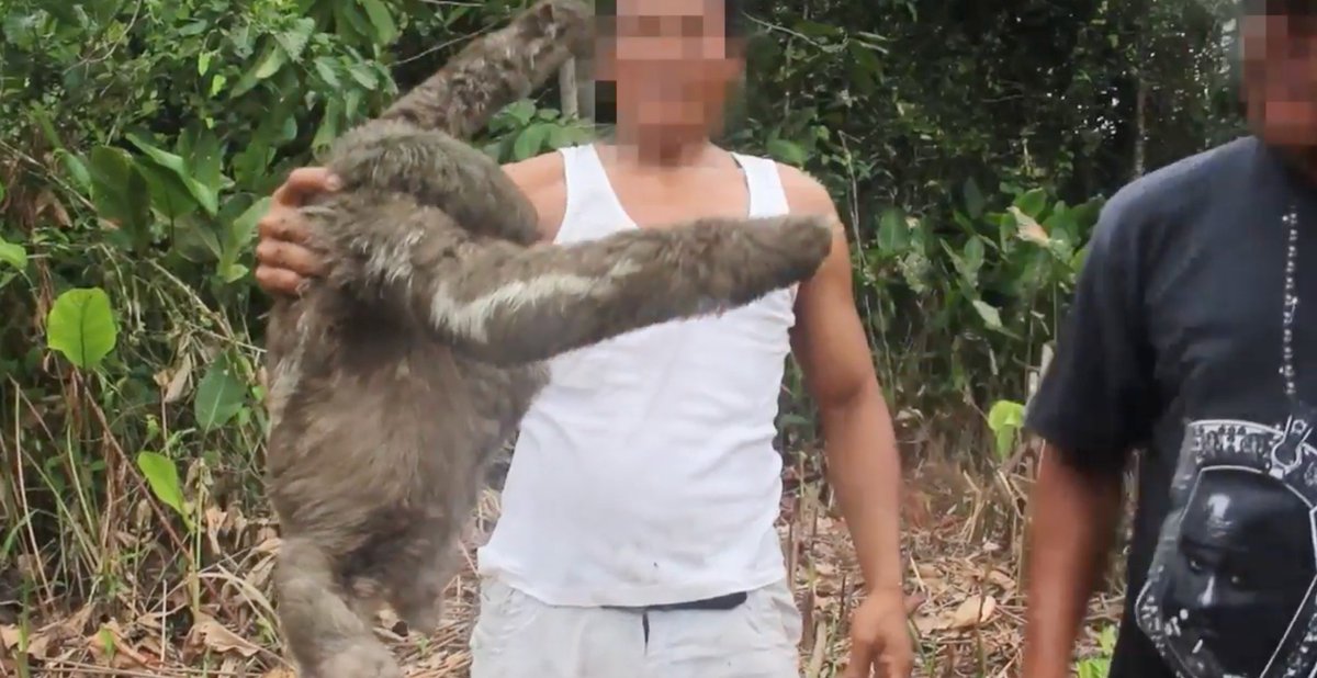 Por que nunca fazer selfie com bichos?
catracalivre.com.br/viagem-livre/p…