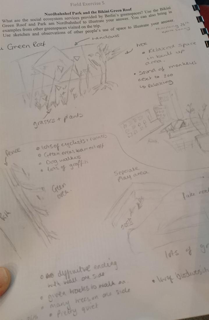 tarawoodyer's tweet image. Evaluating social ecosystem services in #greenspaces with students in Berlin #fieldworkisfun @PortsmouthGeog @UoPScience