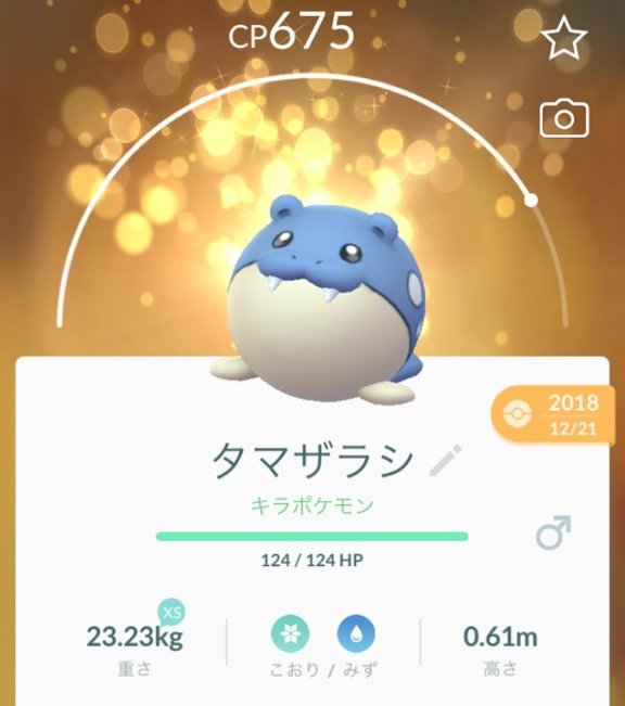 最新 ポケモン タマザラシ 進化 ポケモンの壁紙