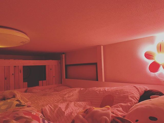 ゆたかちひろ No Twitter 旅行から帰宅して なんか子供部屋のロフト 9割完成 で寝る事に ハイジの天井裏の部屋みたいでワクワクするwでも 眠いな うん Diy ロフト ロフトベッド ロフトのある家 T Co Xbhr9z8ex3