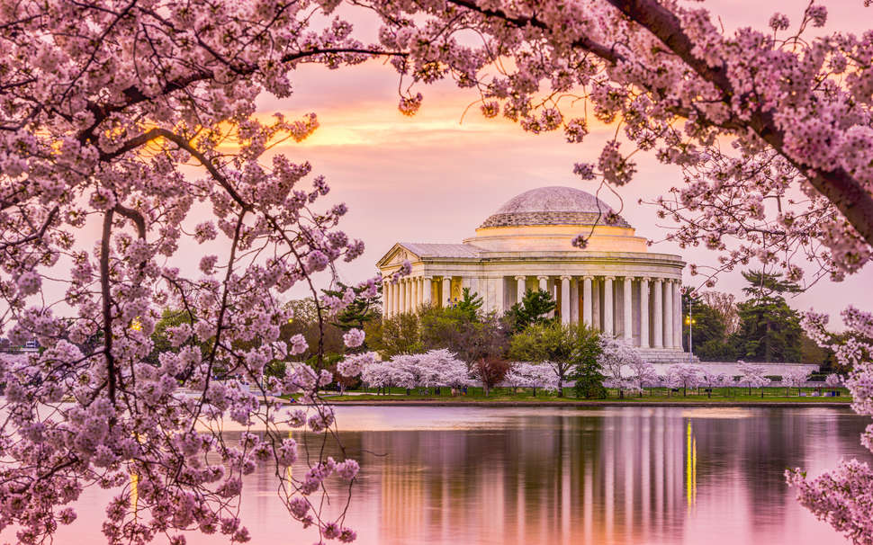 Pretty in pink. Everything you need to know about the #NationalCherryBlossomFestival.
bit.ly/2UGeYLT