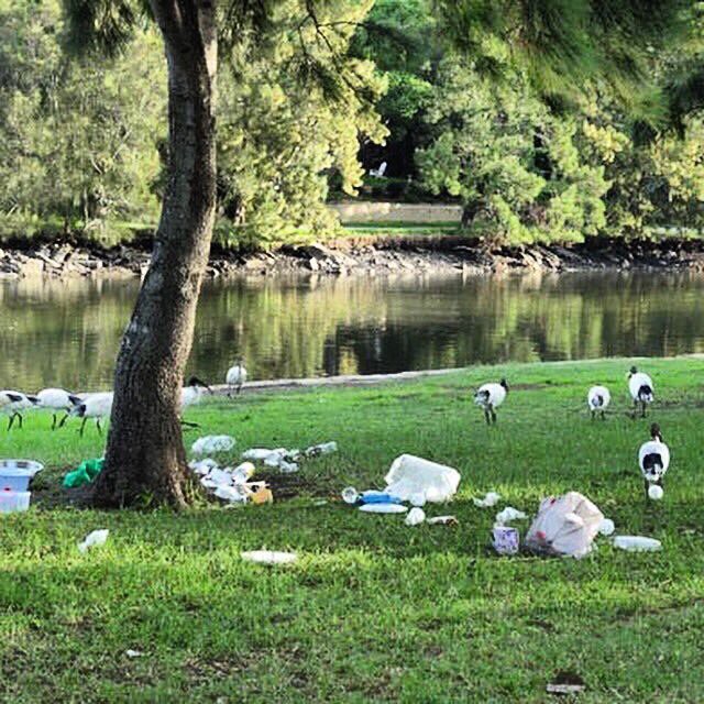 NOCOTUBA PARAGUAY tweet media