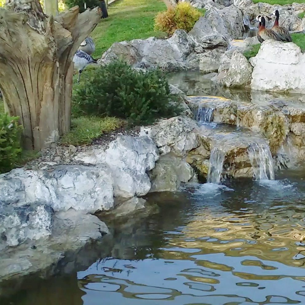 PondsPosh's tweet photo. We build beautiful waterfalls , as well as ponds.
https://t.co/ceois8I7lj
#koiponds #waterdesign #waterfalls
#gardenponds #pondbuilder #gardenstream #waterfallbuilder https://t.co/oGUGeH5mhi