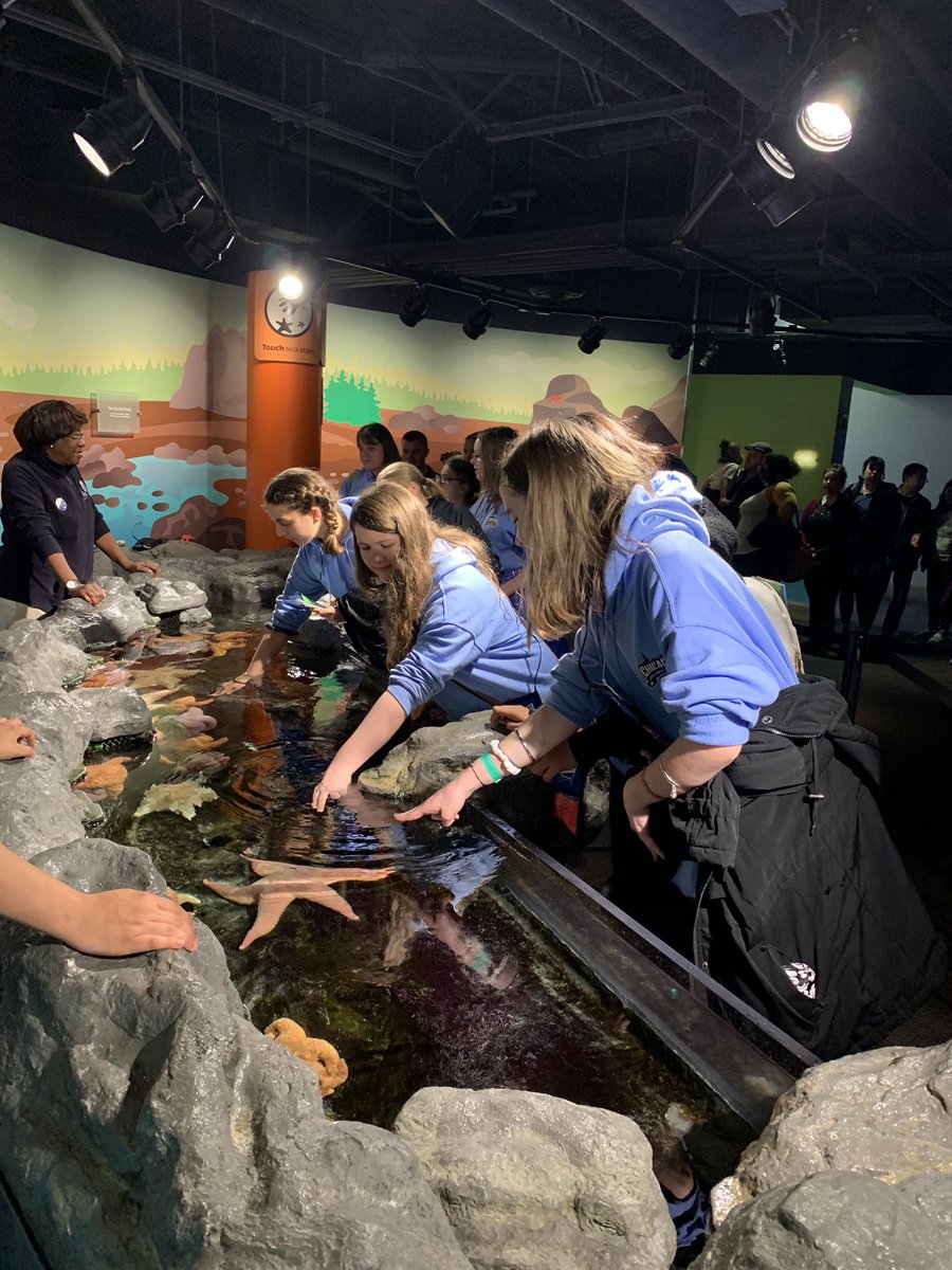 kgrabowski_LMS's tweet photo. Day 1 of the 7th grade trip in the books! Adler Planetarium, Shedd Aquarium and Medieval Times, fun! @LarsonMS @shelbyrose64 https://t.co/ApUFokKBLn