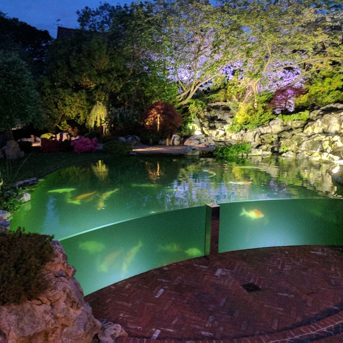 PondsPosh's tweet photo. We light up our pond builds , to give them an extra dimension. 
https://t.co/ceois8I7lj
#waterdesign #water #pondbuilders 
#waterfallbuilders #pondspecialists 
#koiponds #koipondbuilders #pondsincheshire #ponddesign 
#gardenpond https://t.co/PL1ii2vk58