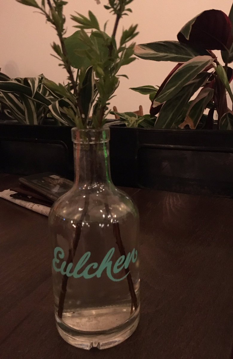 WeberKerstin's tweet photo. Wir haben am Freitag die neue Eulchen Bar mit angeschlossener Brauerei auf der Kupferbergterrasse abgeschlossen. Schön da. #Mainz #Eulchen https://t.co/FsZteVlUgh