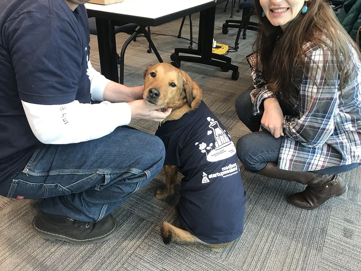 SWMadison's tweet photo. Good morning final day of Startup Weekend Madison! Lola, the #SWMadison dog is geared up and ready to put in the work. https://t.co/KgM3WC4KxX