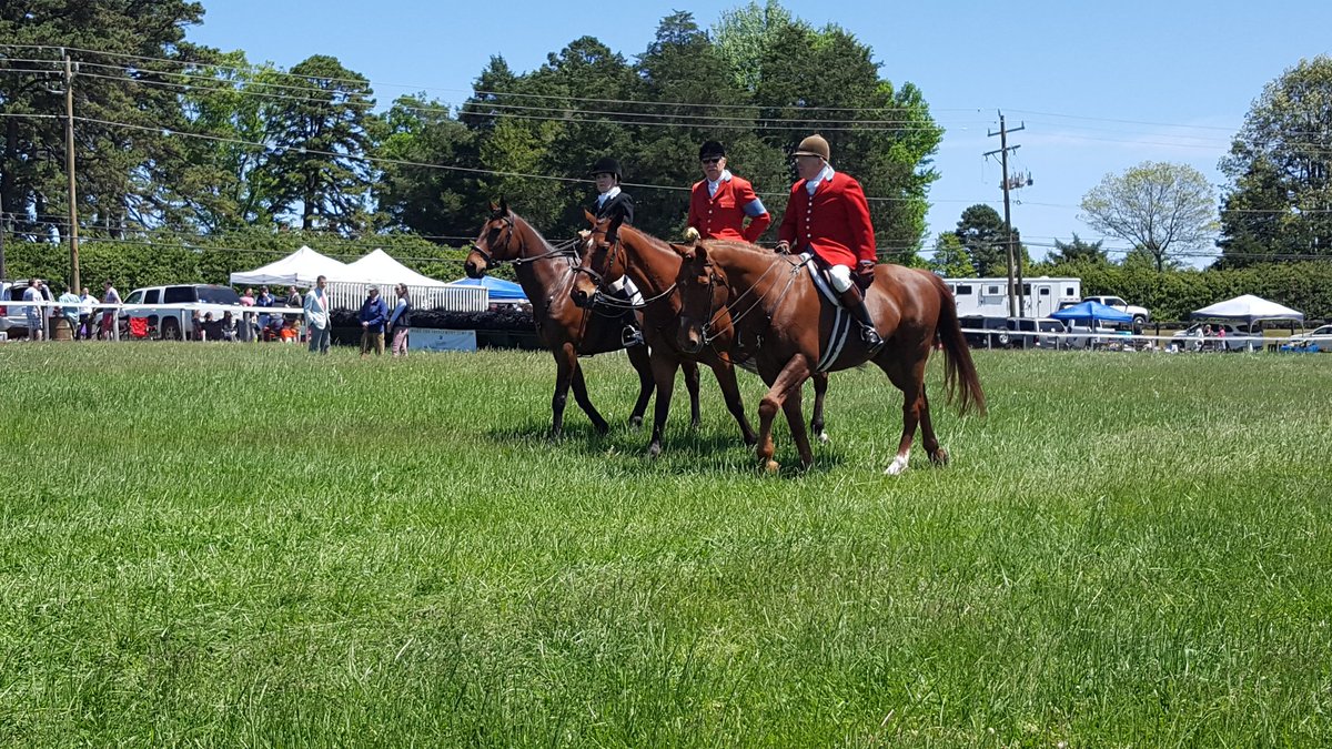 KKMHOO's tweet photo. My view yesterday. Have a great weekend, y'all! #FoxfieldRaces https://t.co/uYiLLRJJYw