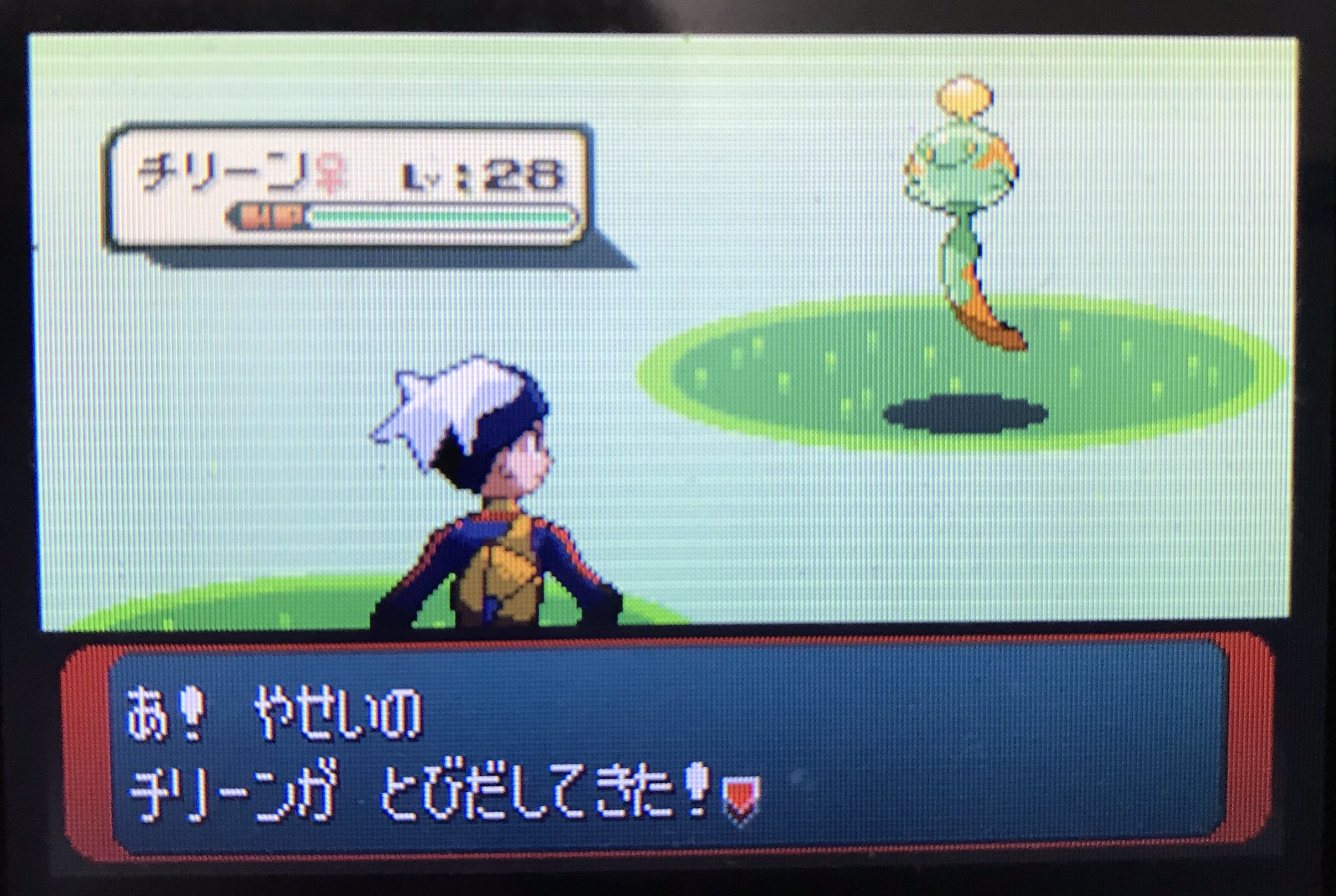 Maccha色ポケ まままま 待って おくりびやまと言えば チリーン チリーン捕まえて帰るか 程度の気持ちで粘っていたら まさかの 1匹目で色違いが ナックラー サンド コイル ビリリダマ 密かに狙ってた子たちは全然来なかったのに 性格は Maccha色ポケ まままま 待って おくりびやまと言えば チリーン チリーン捕まえて帰るか 程度の気持ちで粘っていたら まさかの 1匹目で色違いが ナックラー サンド コイル ビリリダマ 密かに狙ってた子たちは全然来なかったのに 性格は