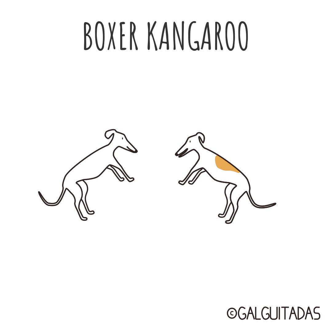 galguitadas's tweet photo. #galguitadas #galgo #galgolover #greyhound #grehoundrescue #freethegalgo #adoptanocompres #adoptdontshop #doglover #humor #comic #galgosdesofa https://t.co/x2Vm6Y2CcW