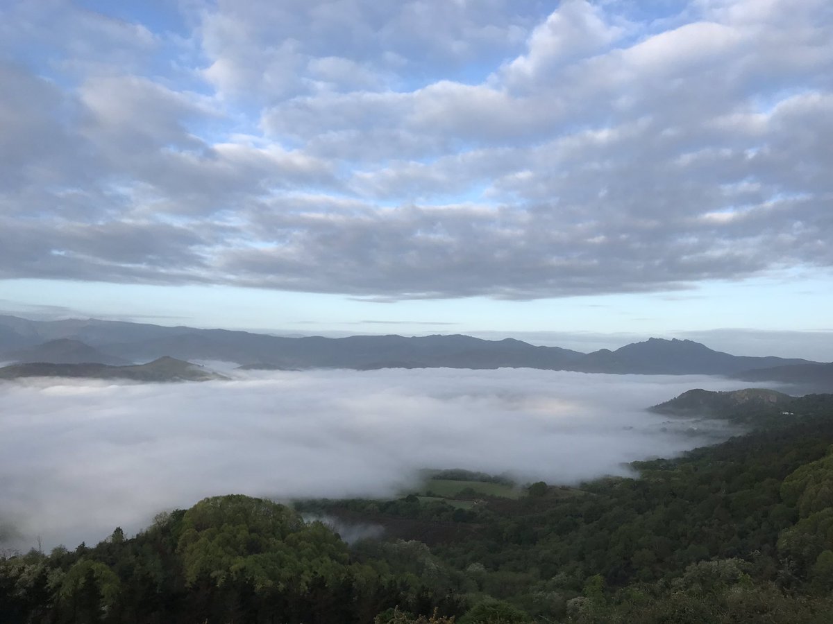 Polypolyrobrob tweet media