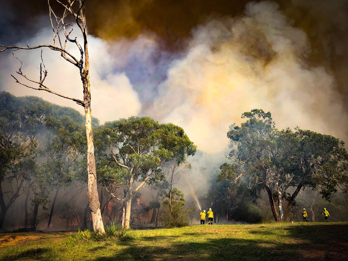 SutherlandRFS tweet picture