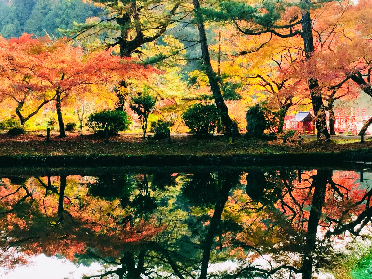 O Xrhsths にんとく Sto Twitter インスタで何故かバスった富士山と 狙って撮った河津桜 東京 カメラ部ツイッター部門に載ったパノラマカーと 穴場水鏡の紅葉 平成最後に自分の代表作を貼る O Xrhsths にんとく Sto Twitter インスタで何故かバスった富士山と 狙って撮った河津桜 東京 カメラ部ツイッター部門に載ったパノラマカーと 穴場水鏡の紅葉 平成最後に自分の代表作を貼る