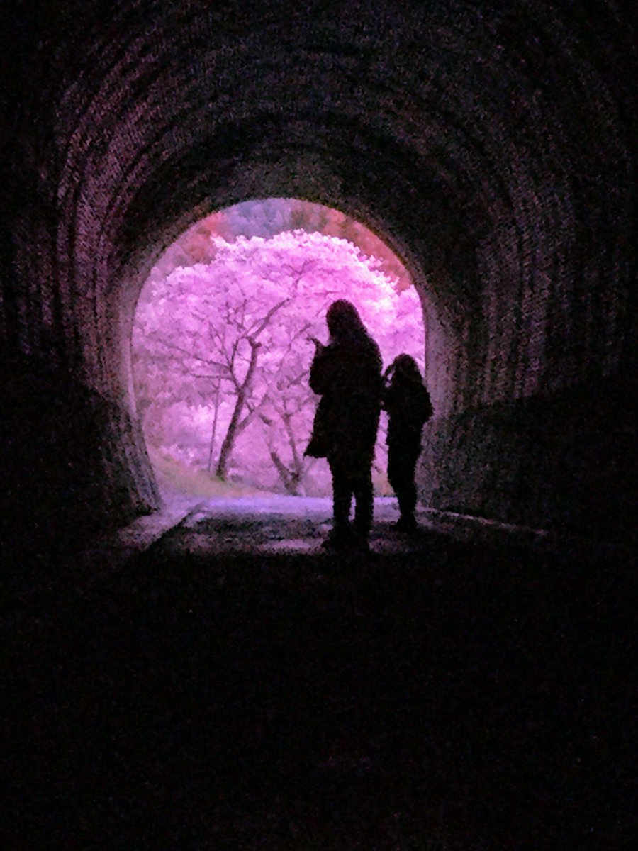 O Xrhsths にんとく Sto Twitter インスタで何故かバスった富士山と 狙って撮った河津桜 東京 カメラ部ツイッター部門に載ったパノラマカーと 穴場水鏡の紅葉 平成最後に自分の代表作を貼る O Xrhsths にんとく Sto Twitter インスタで何故かバスった富士山と 狙って撮った河津桜 東京 カメラ部ツイッター部門に載ったパノラマカーと 穴場水鏡の紅葉 平成最後に自分の代表作を貼る
