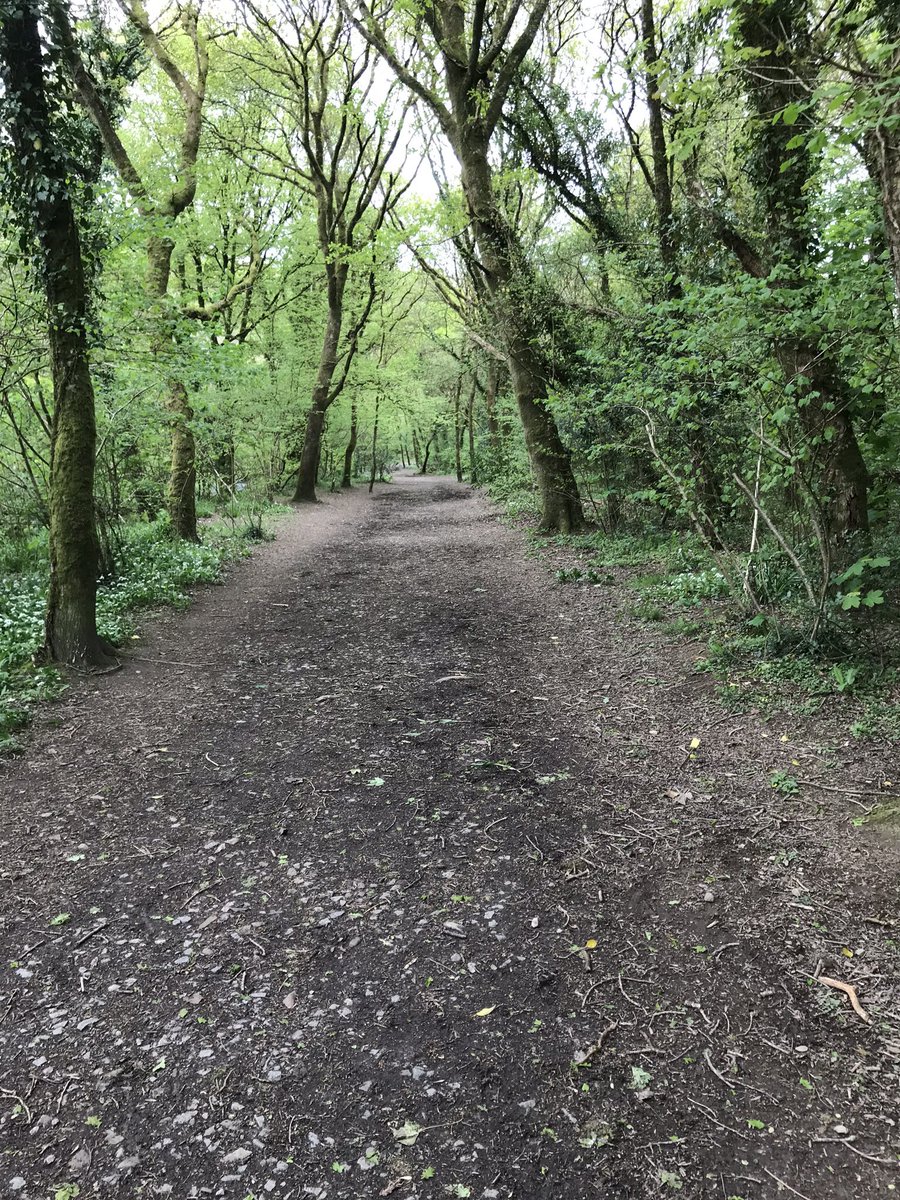 AltarnunCott's tweet photo. Lovely safe #dog #walk by the beautiful River #Lynher near #Callington.  Just found it and wish I had known about it before. #Bimble had a great time among the #Bluebells and #Wildgarlic.  Short drive from #Hillcottage https://t.co/BxVP4RdCcY