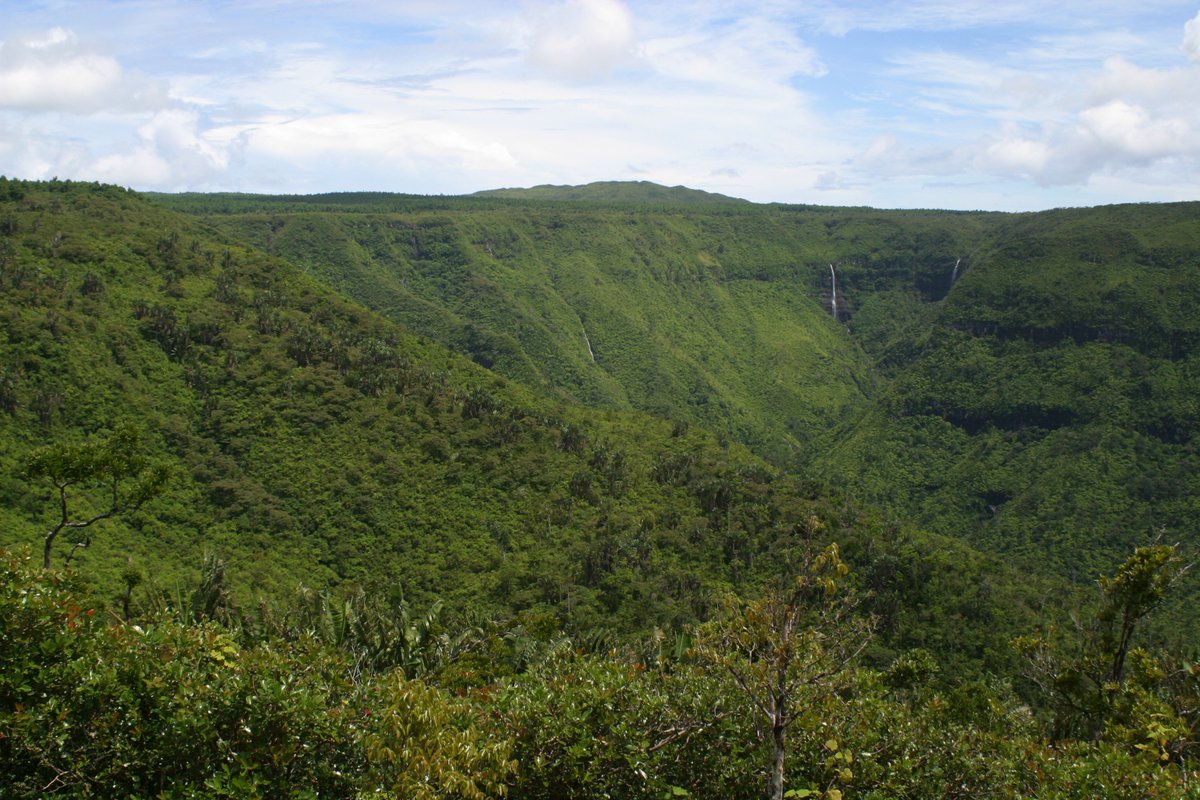 protectedplanet's tweet photo. .@jtayleur's #FavouriteProtectedArea is Black River Gorges, Mauritius: "There's space for conservation work, as well as for the public to see beautiful endemic species. I spent ~3yrs looking after pink pigeons, Mauritius Kestrels and Echo Parakeets" https://t.co/J2v1nY18hh https://t.co/DT6BzLc5Me