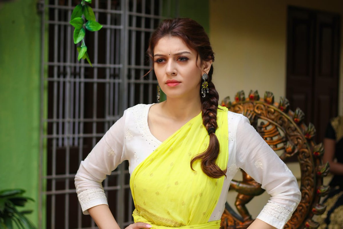 What Is The Current Net Worth Of Hansika Motwani?