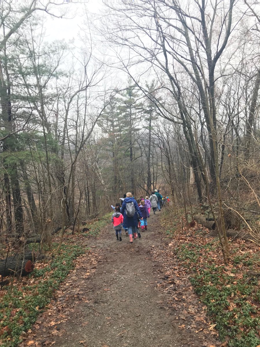 Grade 2s had an adventure following Nature Interpreter Madison at the Royal Botanical Gardens on Friday. 2 separate hikes, 10,002 steps and the rain held off all day. #rbg #snails #turtles #chickadees #cardinals #skunkcabbage #predatorprey #wormtracks #trumpeterswans