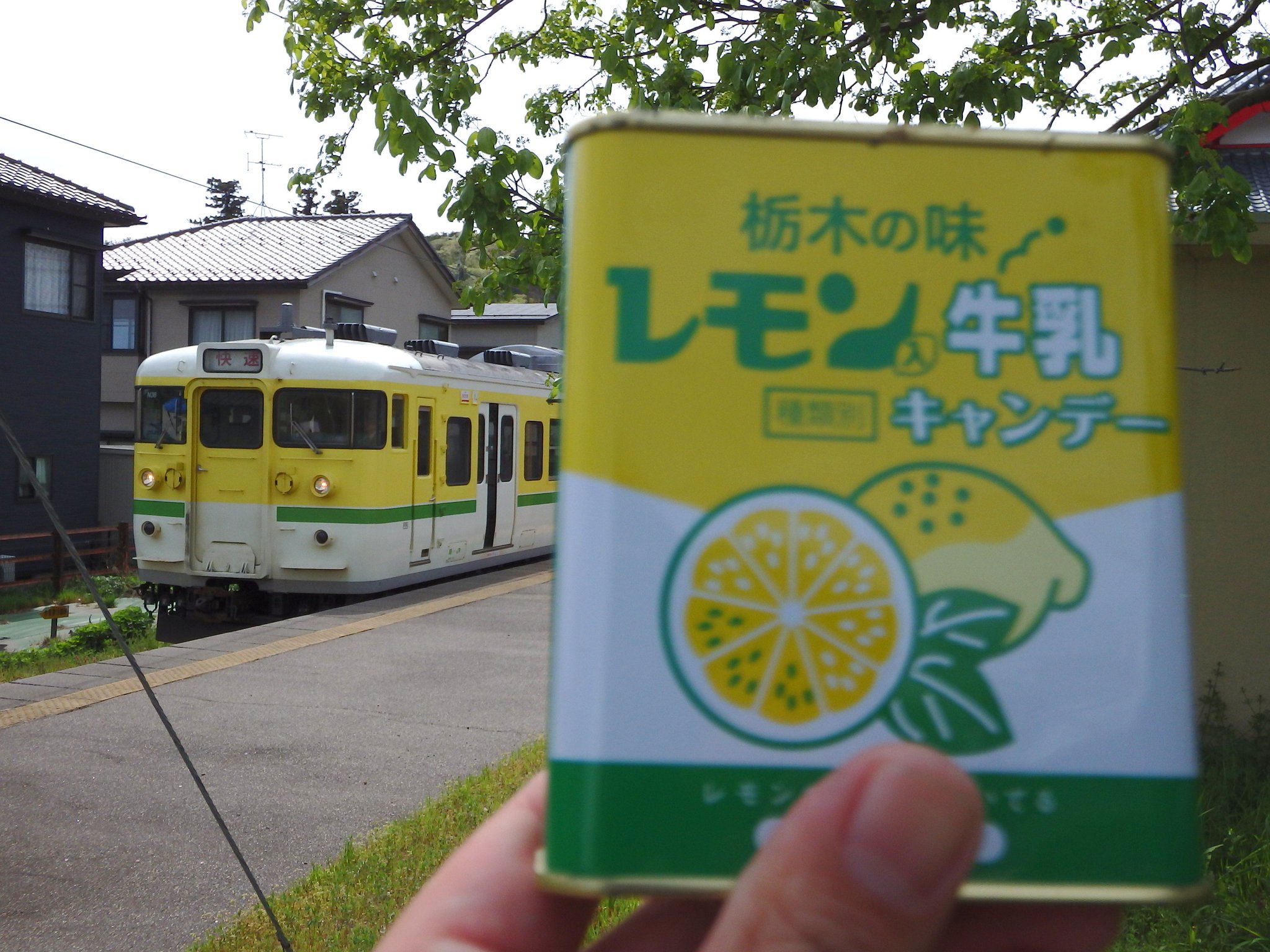 4日目その3 吉田駅で雪晴れレモン牛乳！115系新旧弥彦色・旧新潟
