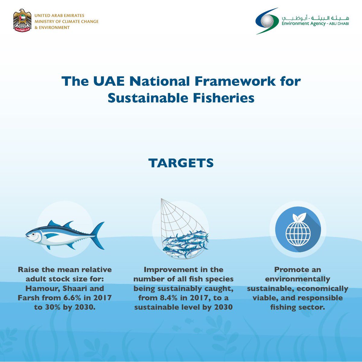 The Environment Agency Abu Dhabi The Framework Seeks To Mitigate The Effects Of Overfishing And Establish An Environmentally Sustainable Economically Viable And Socially Responsible Fishing Sector In The Uae The Environment Agency Abu Dhabi The Framework Seeks To Mitigate The Effects Of Overfishing And Establish An Environmentally Sustainable Economically Viable And Socially Responsible Fishing Sector In The Uae