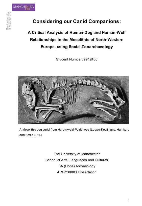 amelia_halls's tweet photo. GUYS. I'VE FINISHED MY UNDERGRADUATE DISSERTATION. https://t.co/3HDvrrHS6x