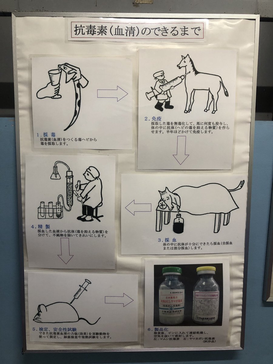 血清 Twitter Search Twitter